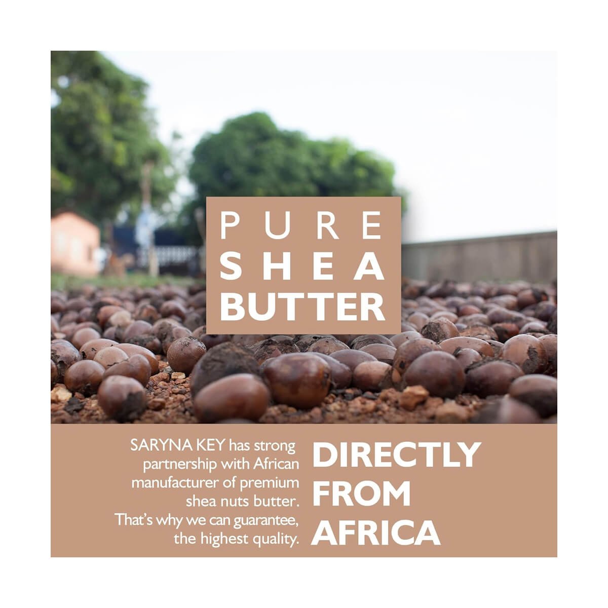 Balsam pentru par fin cu unt de SHEA