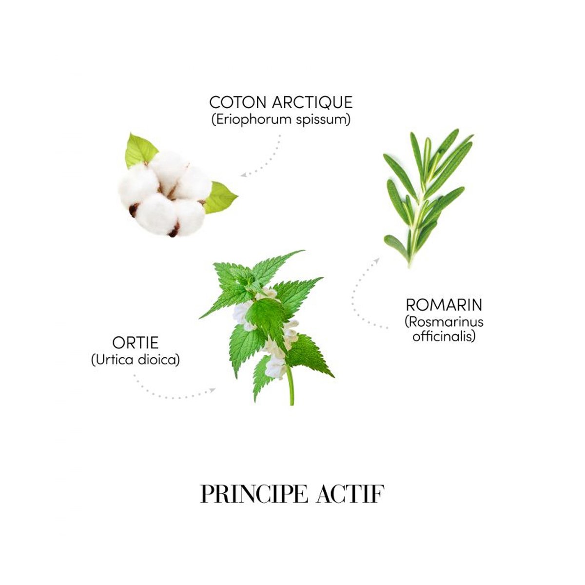 Crema tip gel pentru volum si protectie