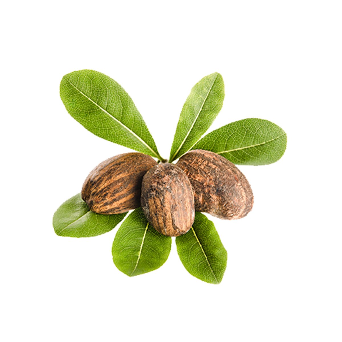 Curl Control Shea Butter - RUTINA.roCurl Control Shea ButterRUTINA.roRUTINA.ro