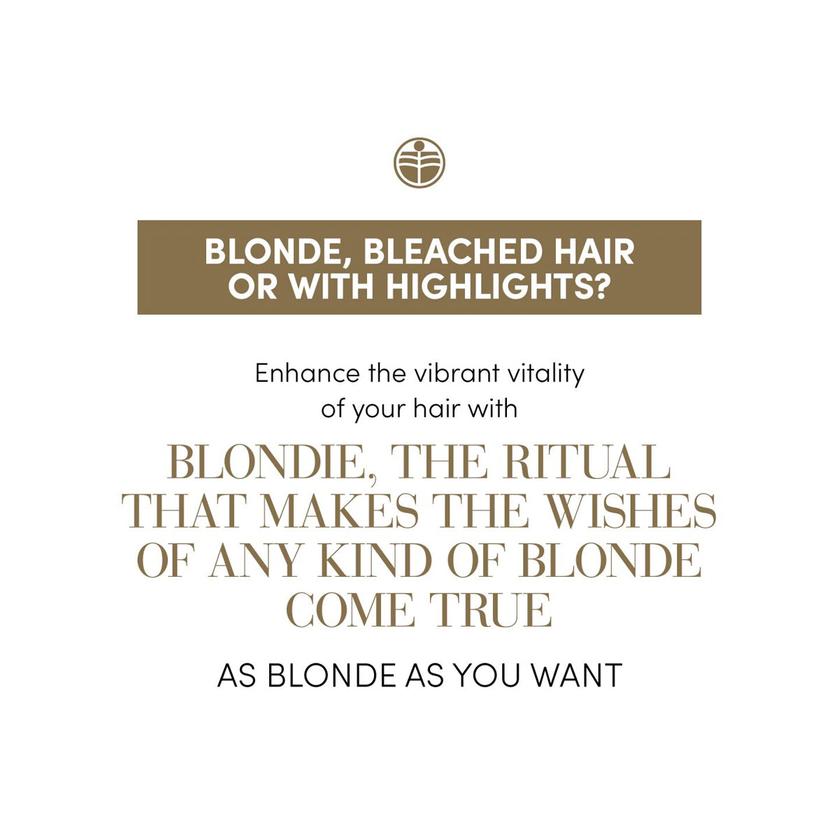 Duo Luxury Kit Ingrijire pentru Par Blond - Medavita Blondie