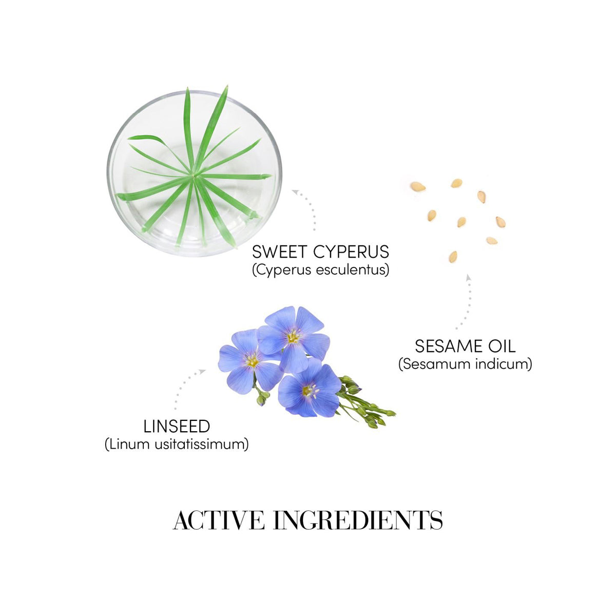 Duo Luxury Kit pentru Umplerea Firului de Par - Medavita Prodige