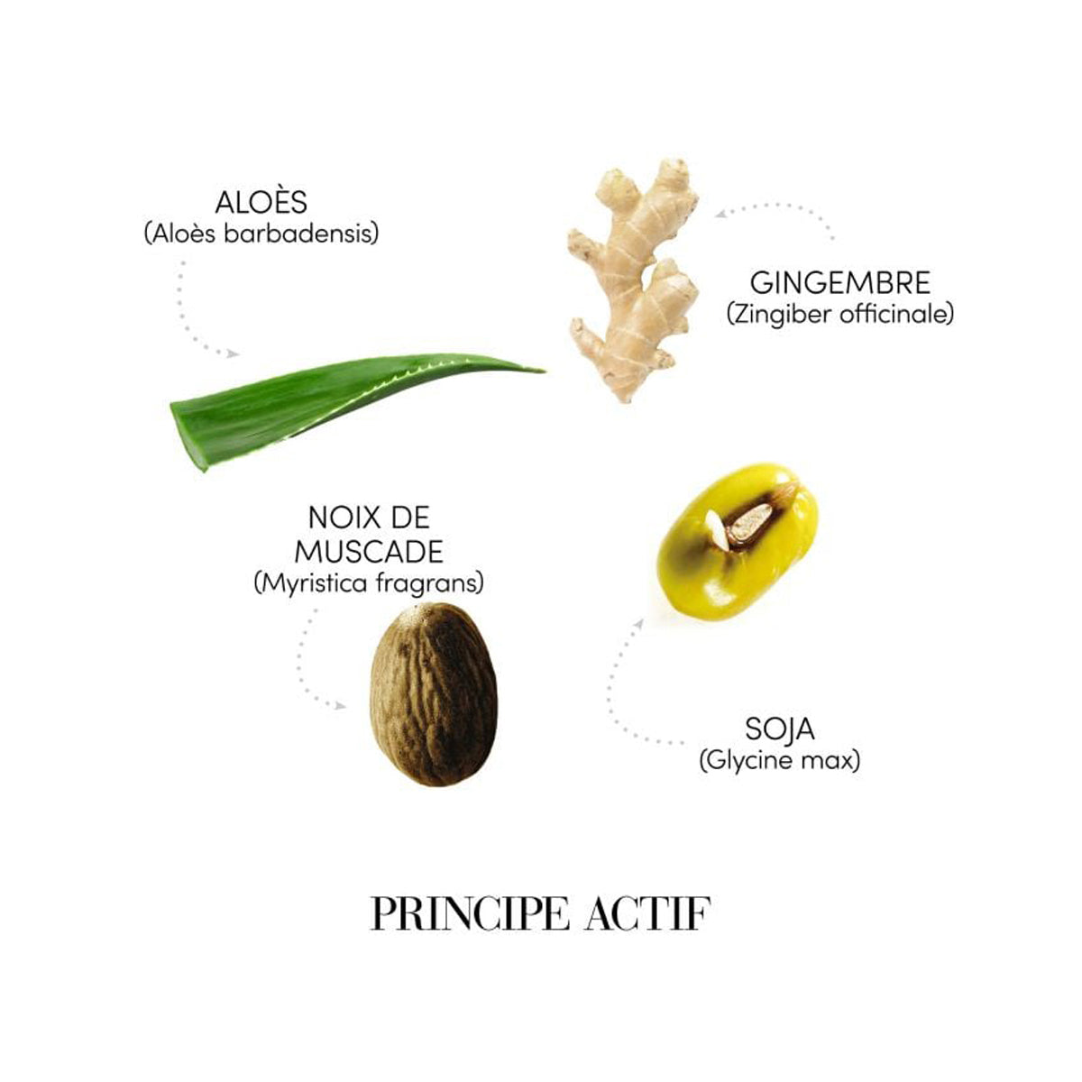 Fiole antisebum Medavita Requilibre, lotiune-tratament pentru dermatita seboreica, echilibrarea sebumului, 12x6ml