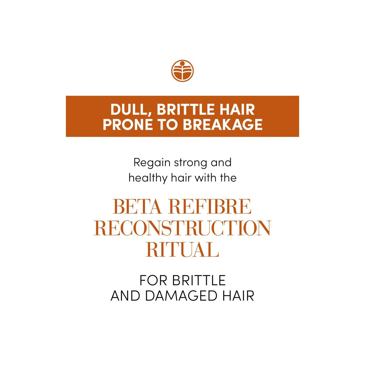 Fiole pentru reconstructie par Medavita Betarefribrare, ser pentru restructurare, reparare, consolidare si anti-imbatranire firului de par , 24x10ml