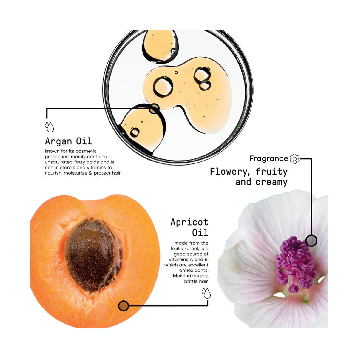 Kit Sublimiss Oil - pentru Par Degradat si Stralucitor - - Framesi