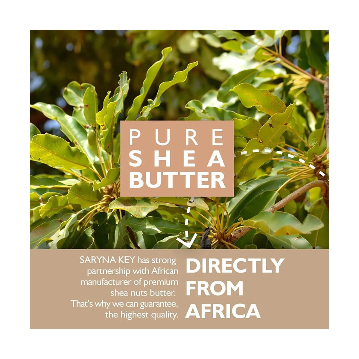 Masca pentru par fin cu Unt de Shea - RUTINA.roMasca pentru par fin cu Unt de SheaRUTINA.roRUTINA.ro