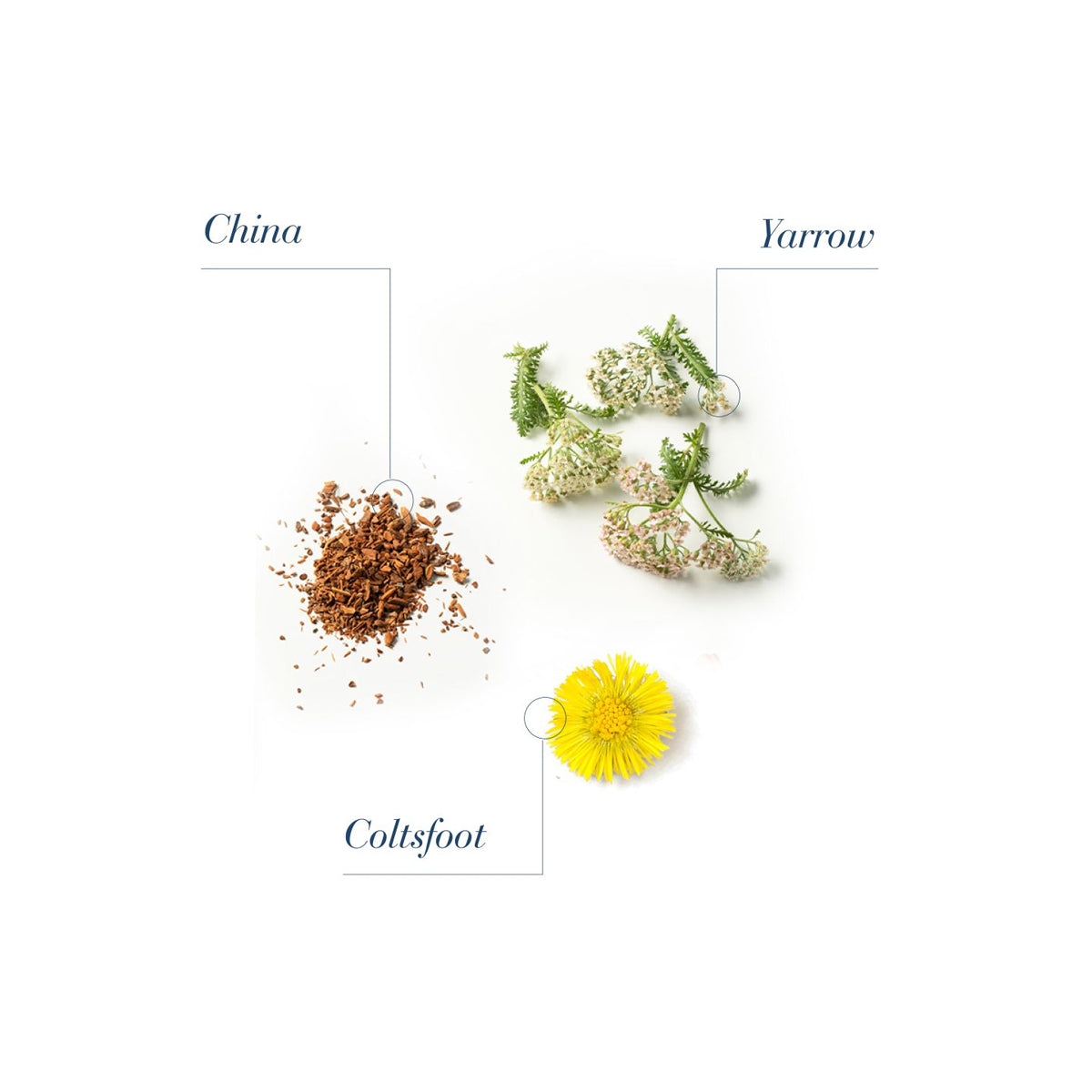 Sampon Anticadere Barbati pH 4.8 - —