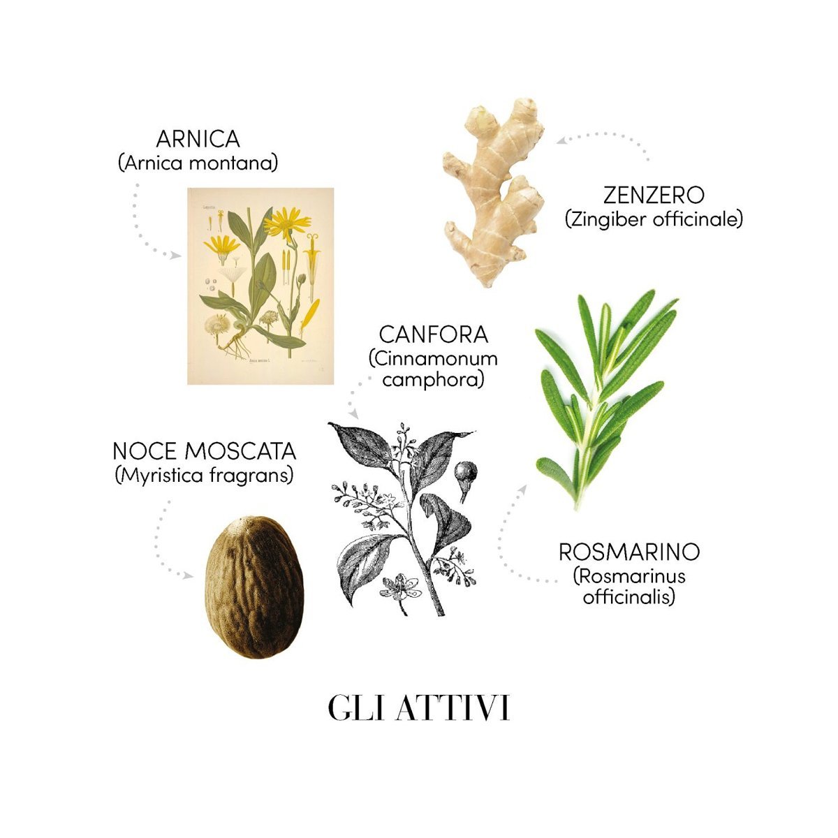 Sampon Anticadere pH 5.5 - Medavita — - RUTINA.roSampon Anticadere pH 5.5 - Medavita —RUTINA.roRUTINA.ro