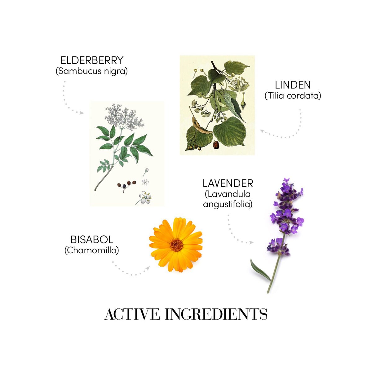 Sampon Calmant Velour pH 5.5 — - RUTINA.roSampon Calmant Velour pH 5.5 —RUTINA.roRUTINA.ro