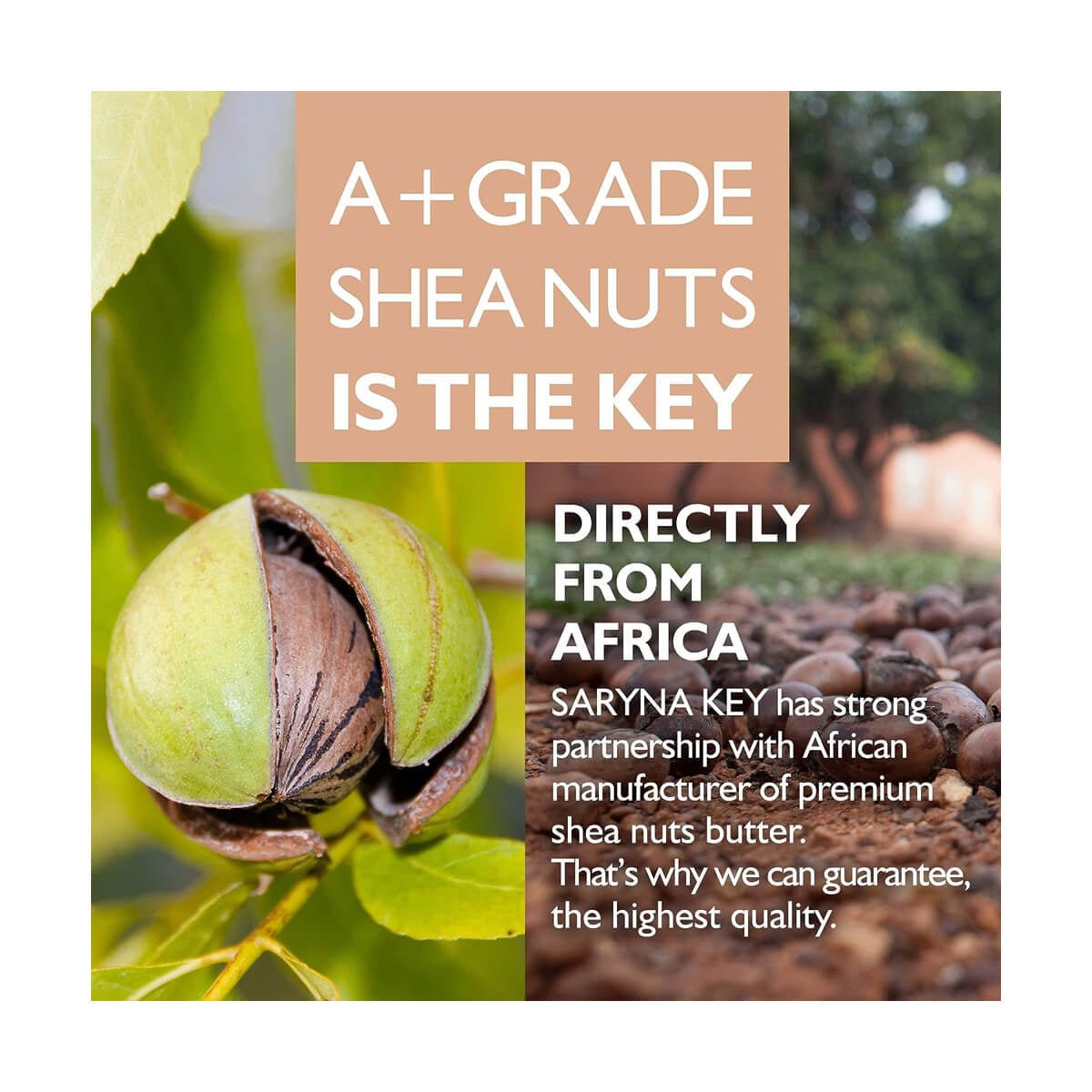 Sampon cu Unt de Shea pt par fin - Saryna Key — - RUTINA.roSampon cu Unt de Shea pt par fin - Saryna Key —RUTINA.roRUTINA.ro