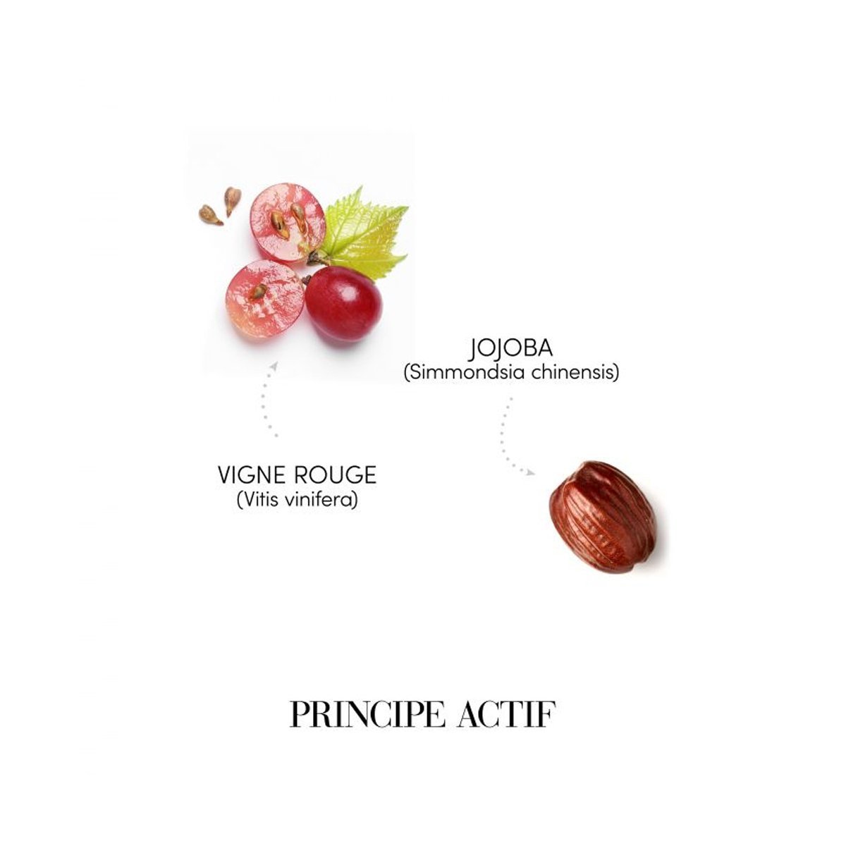 Sampon pentru par cret - Curl Addict — - RUTINA.roSampon pentru par cret - Curl Addict —RUTINA.roRUTINA.ro