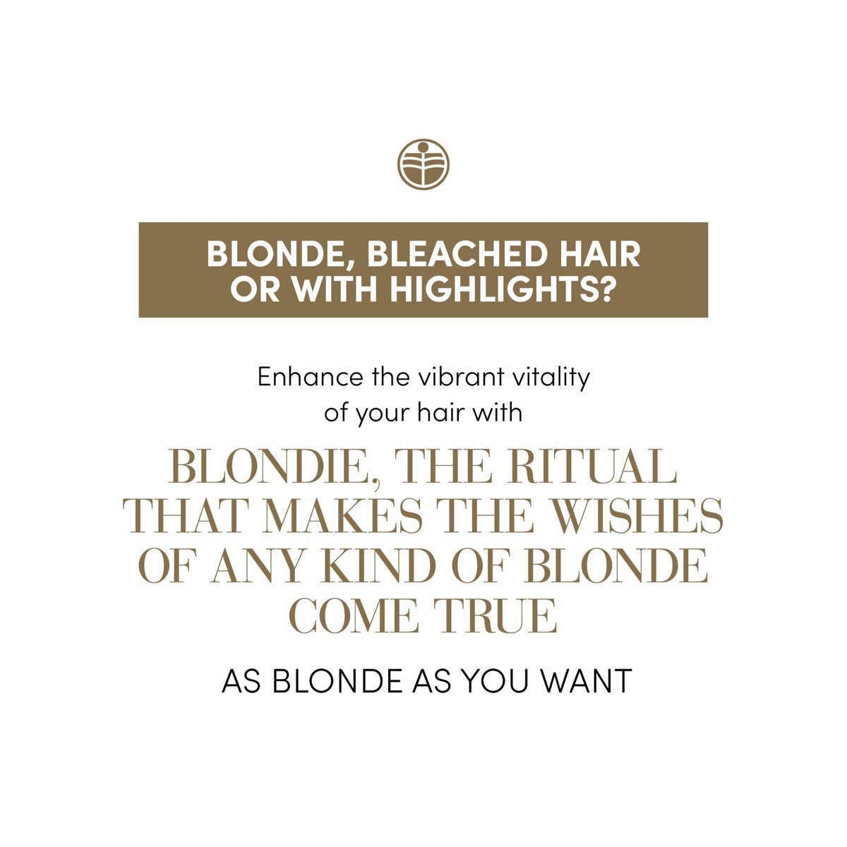 Sampon pentru toate tipurile de blond cu acid hialuronic, ceramide, colagen - ALL BLONDES — - RUTINA.roSampon pentru toate tipurile de blond cu acid hialuronic, ceramide, colagen - ALL BLONDES —RUTINA.roRUTINA.ro