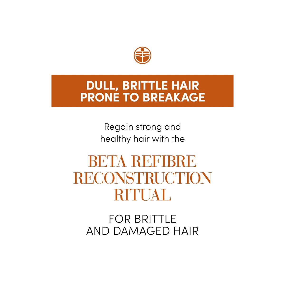 Spray Reconstructie cu Aminoacizi - Microemulsie Leave - in - Betarefibre - RUTINA.roSpray Reconstructie cu Aminoacizi - Microemulsie Leave - in - BetarefibreRUTINA.roRUTINA.ro