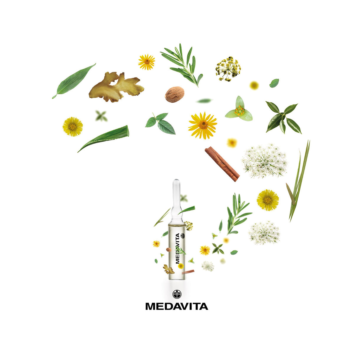 Fiole anticadere par Medavita - Tratament intensiv anticadere, fara parabeni, PH 3.5 - 12x6ml