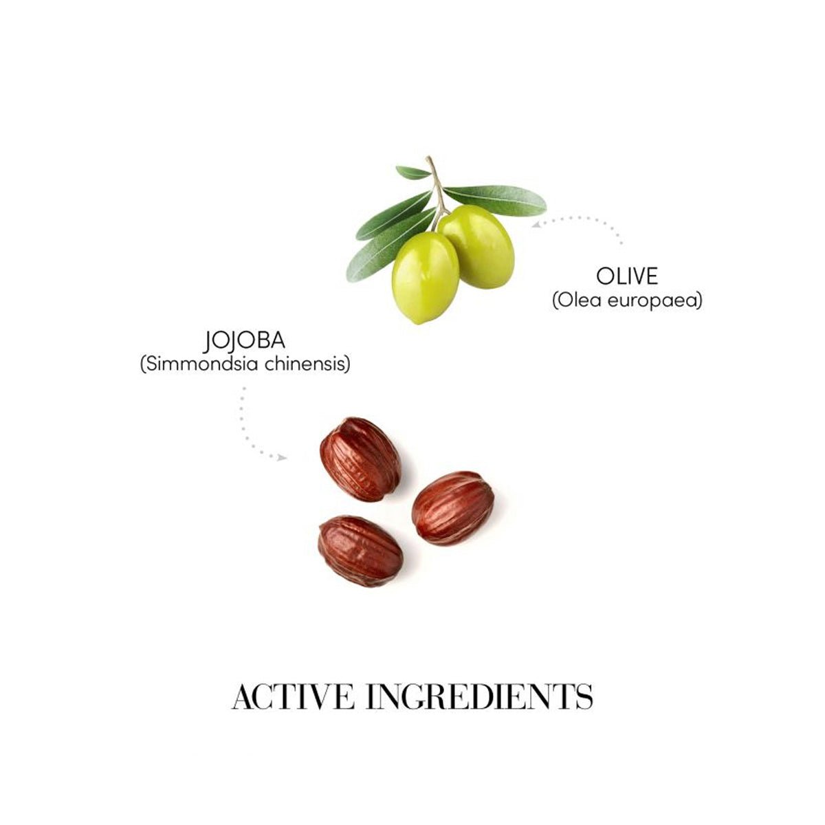 Balsam Cationic pentru lungimi foarte uscate si frizate - RUTINA.roBalsam Cationic pentru lungimi foarte uscate si frizateRUTINA.roRUTINA.ro