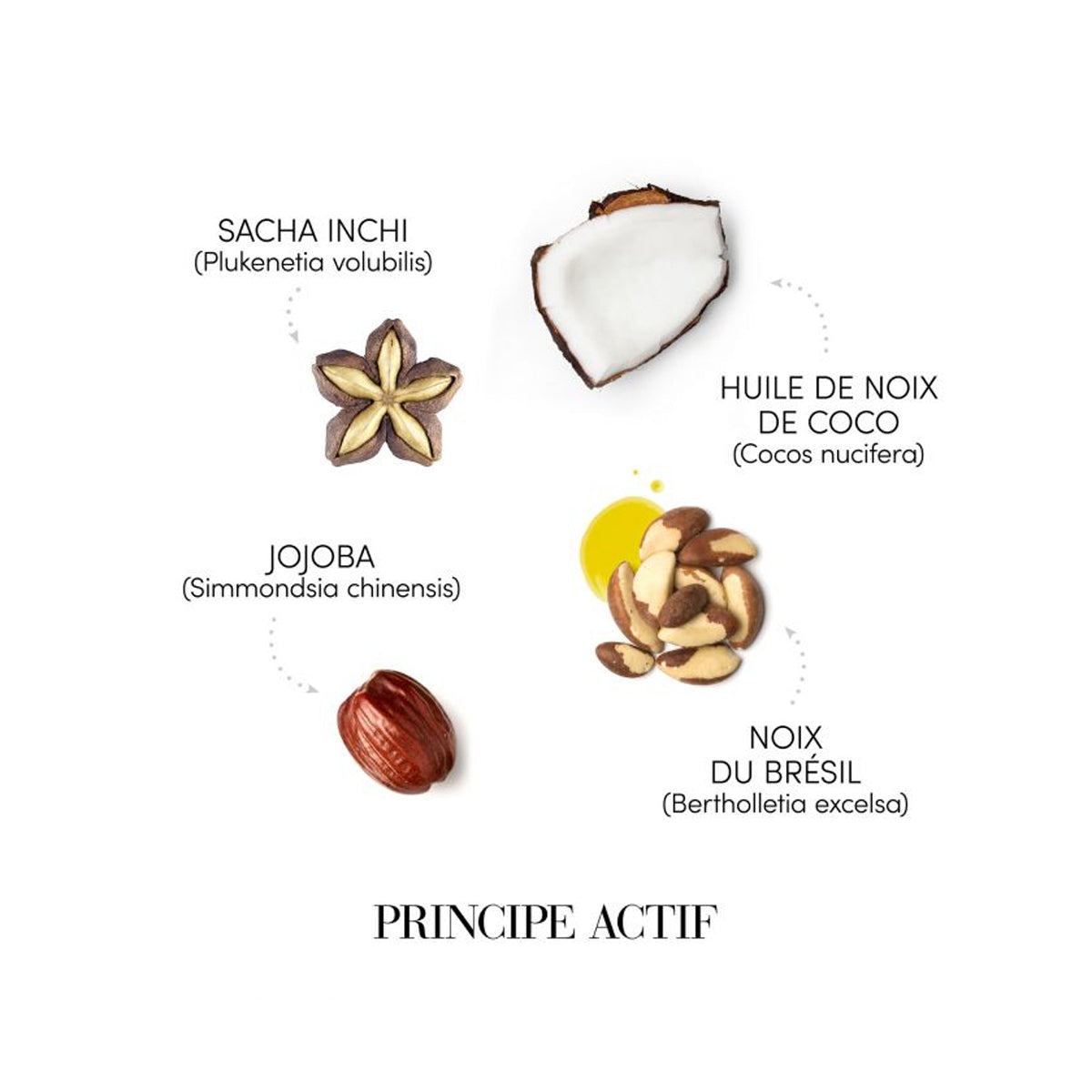 Crema bucle fixare medie