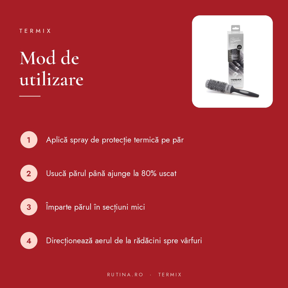 Perie Profesională Termix Evo Basic — Diametru 12 mm