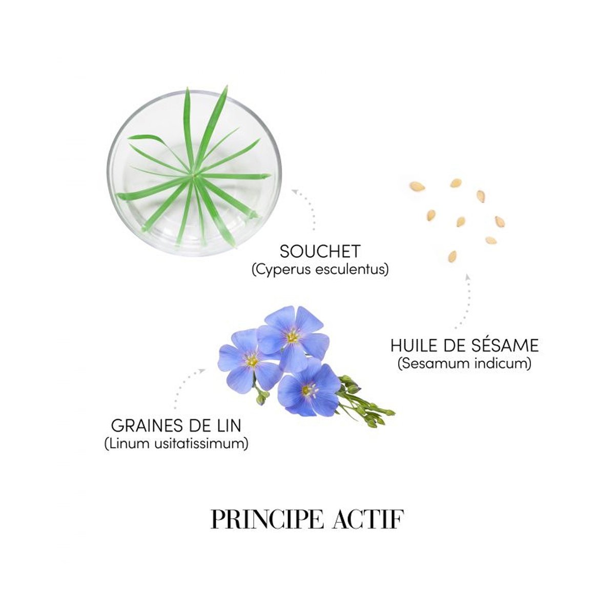 Sampon pentru Umplere si Restructurare - pH 5.5 Prodige – 1000 ml – imagine 3